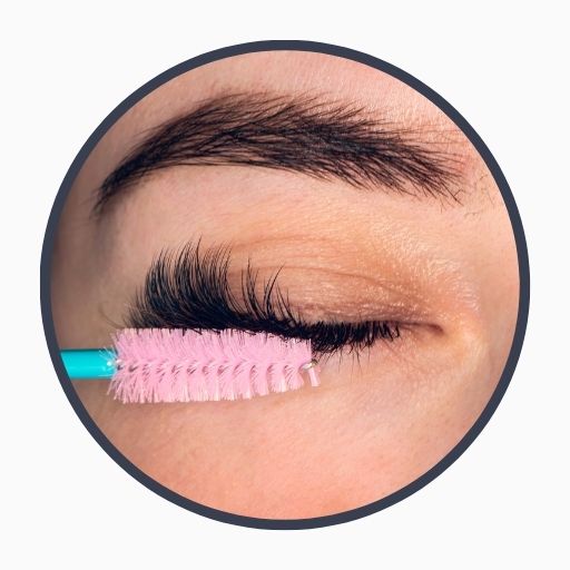Preparation for Eyelash Transplantation
